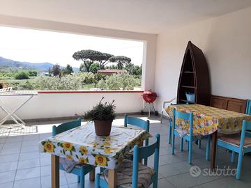 Campo nell 'Elba disponibile dal 23/8 al 30/8