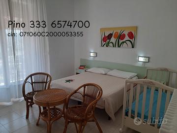 A VIESTE bilocale arredato da OTTOBRE a MAGGIO