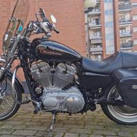 Harley Davidson Sportster Custom 883