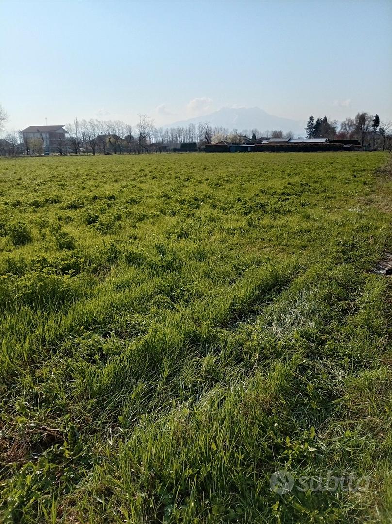 Rustico con yerreno - Vista 2