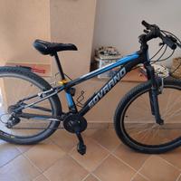 bici sovrano 