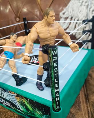 action figure WWE wrestling 
