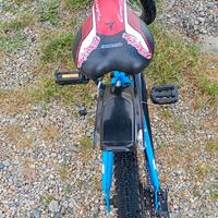 Bicicletta raggio 20