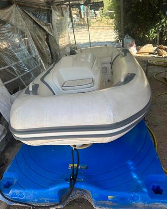 Tender Avon 320 Jet