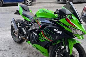 Kawasaki ZXR 400 - 2024