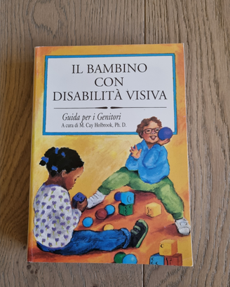 Il bambino con disabilità visiva