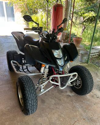 Suzuki Ltz 400 paoletti racing