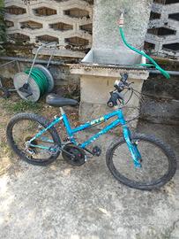 MTB  bimbo 
