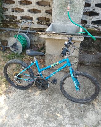 MTB  bimbo 