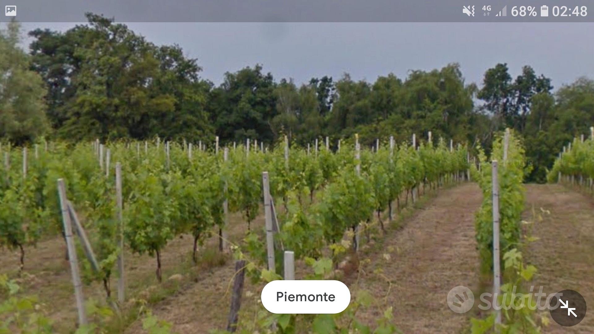 Terreno agricolo di 6330mq - Vista 5