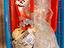 Immagine 2