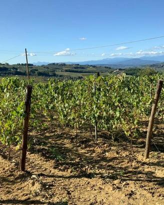 Rustico / Casale di 539 m² con più di 5 locali e b