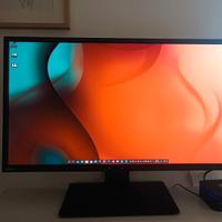 Monitor 32" Benq PD 3200Q QHD