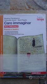 Caro Immaginar ISBN 9788808937018