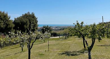 Terreno panoramico vista mare e Monte Conero