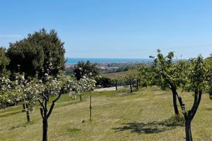 Terreno panoramico vista mare e Monte Conero