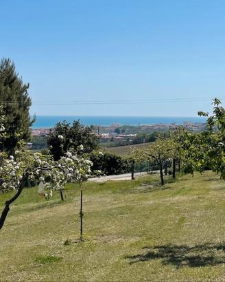 Terreno panoramico vista mare e Monte Conero
