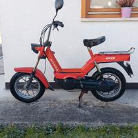 Gilera Eco variatore