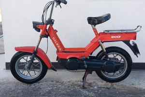 Gilera Eco variatore