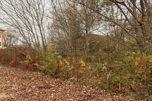 RGE 224/2023 Tribunale di Verona - Lotto 6)