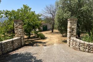 Casale