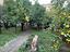 Immagine 17