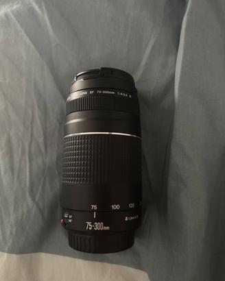canon ef 75-300 f/4-5.6