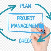 Project Manager,PLC,IT,Disegno,Global