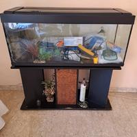 Acquario