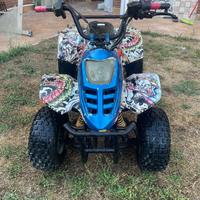 Quad cc100 quattro tempi