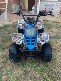 Quad cc100 quattro tempi