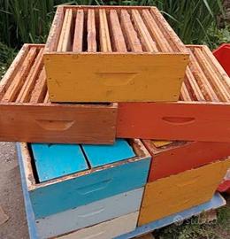 melari per apicoltura 