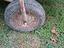 Immagine 4
