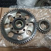 Ingranaggi primaria Ducati 999 1098 998