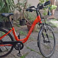 phoenix biciclette 