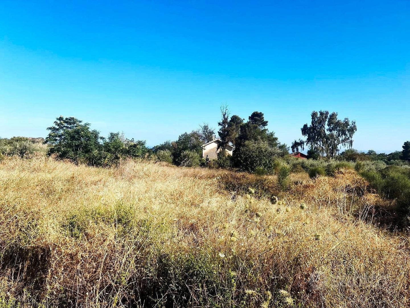Terreno agricolo pianeggiante no recintato - Vista 2