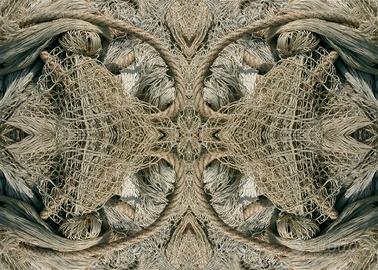 "Brucoli" Caleidofo di Domenico Camillleri