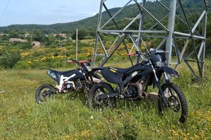 hm 50 
