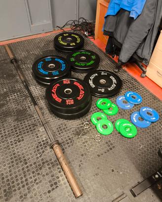 palestra bear fitness 