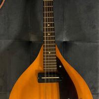 Mandolino EKO amplificabile