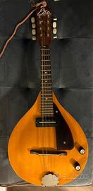 Mandolino EKO amplificabile