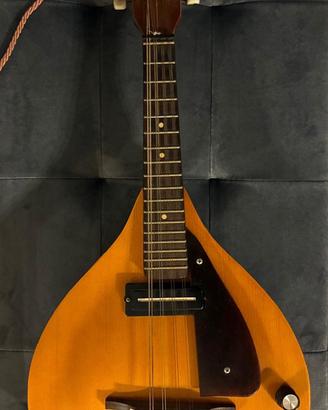 Mandolino EKO amplificabile