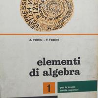 Elementi di algebra. Vol. I