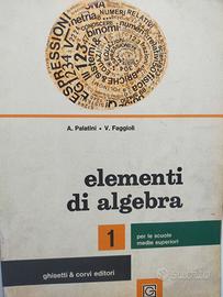 Elementi di algebra. Vol. I