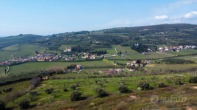 Terreno Edificabile