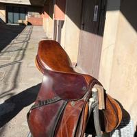 Sella stubben siegfried 2