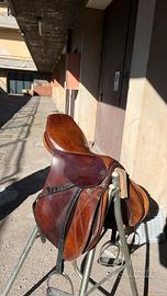 Sella stubben siegfried 2