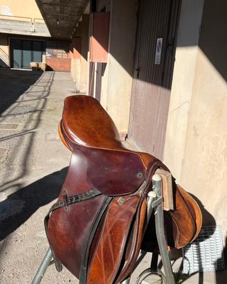 Sella stubben siegfried 2