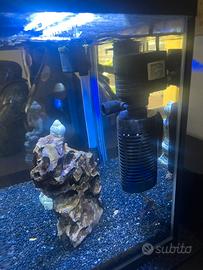 Acquario 40 lt