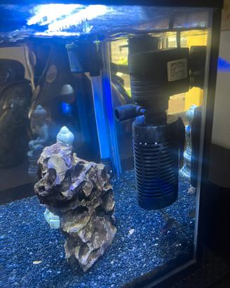 Acquario 40 lt